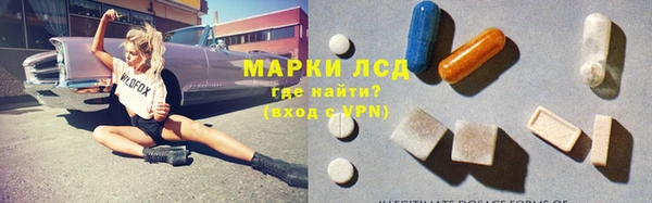 ГАЛЛЮЦИНОГЕННЫЕ ГРИБЫ Михайлов