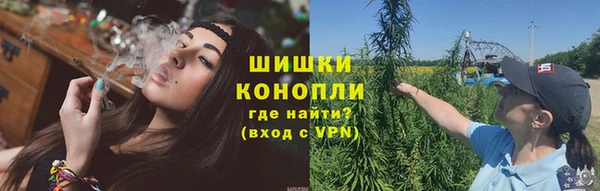 ГАЛЛЮЦИНОГЕННЫЕ ГРИБЫ Михайлов