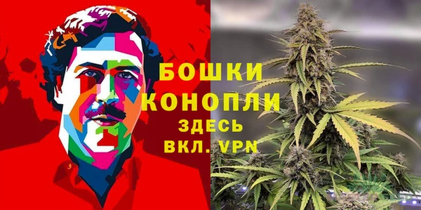 ГАЛЛЮЦИНОГЕННЫЕ ГРИБЫ Михайлов