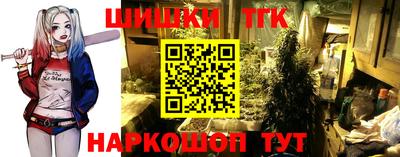 герыч Сланцы