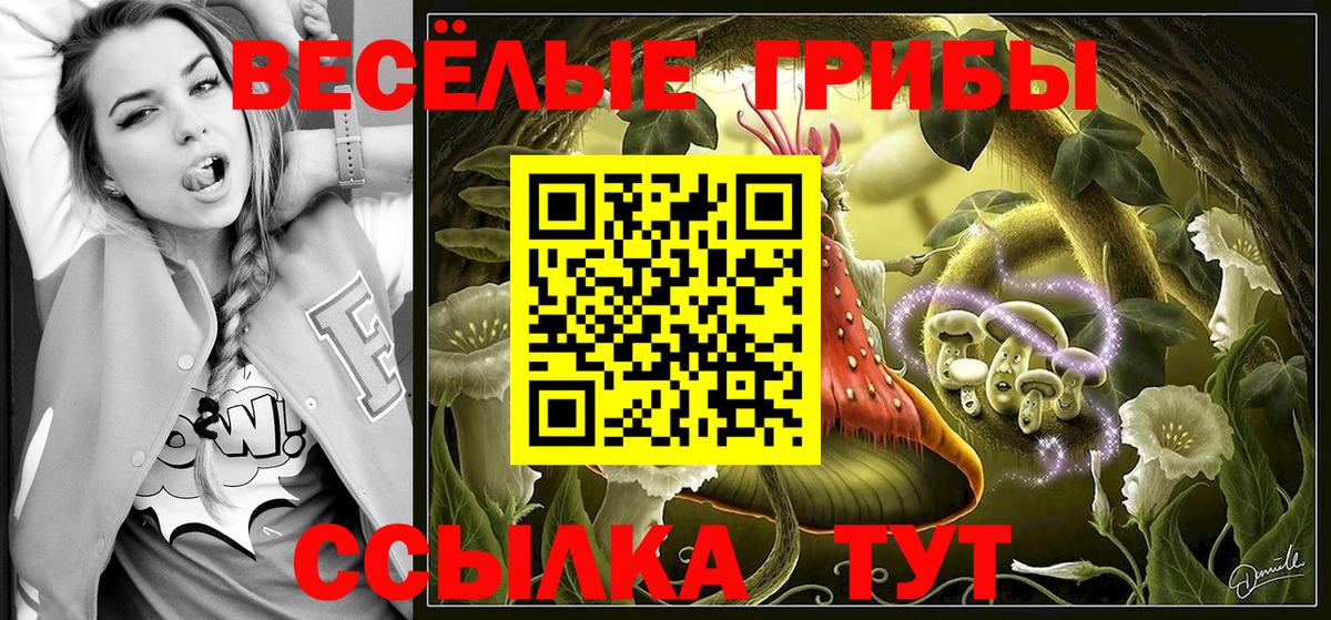 Галлюциногенные грибы мухоморы  Ярославль  Галлюциногенные грибы мухоморы 